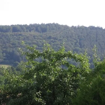 Ferienwohnung Rippberger Kirchzell